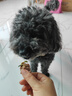 疯狂小狗宠物狗零食磨牙肉干0添加训犬奖励 天然之味 鸭肉绕孢子甘蓝100g 实拍图