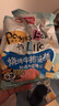 盼盼 麦香鸡味块  休闲零食礼包膨化食品童年多口味 60g*6/袋 实拍图