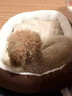 瓜洲牧猫窝狗窝冬季保暖加厚椭圆窝封闭式四季通用大号宠物窝冬天小型犬 优质棉【加高加厚】咖啡色 XL-超大型85*65【推荐50斤以内】 实拍图