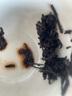 大益茶叶 普洱茶熟茶 7572经典标杆茶 茶叶自饮 口粮熟茶 150g*1饼 实拍图