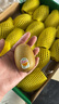 佳沛（zespri）新西兰  阳光金奇异果16粒礼盒经典果单果约 77-103g 水果 猕猴桃 实拍图