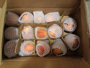 京愿 新鲜水蜜桃 毛桃 脆甜桃子 红不软  当季新鲜孕妇水果生鲜 5斤（净重4.5斤） 实拍图
