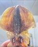 小海故事 淡干大号墨鱼干 250g 5-8只/袋 乌贼干煲汤干货 源头直发 实拍图