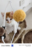 喵仙儿猫爬架大型一体猫窝多层跳台剑麻猫抓柱耐磨猫抓板不掉屑猫玩具 实拍图