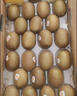 佳沛（zespri）新西兰  阳光金奇异果10粒礼盒巨大果单果约144-175g 水果 猕猴桃 实拍图
