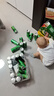 可口可乐（Coca-Cola）檀健次代言 雪碧Sprite零卡无糖饮料330ml*24瓶 新老包装随机发货 实拍图