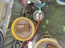 漫生活650g*3块椰糠砖椰砖椰土砖营养土通用种菜养花土壤花卉绿植脱盐 实拍图