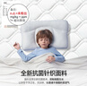 雅戈兰罗 天然椰棕床垫硬棕垫薄榻榻米棕榈定制睡垫乳胶1.5米席梦思床垫子 高密度3e棕总厚度5厘米（直板） 1.5米*1.9米 实拍图