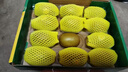 佳沛（zespri）新西兰 阳光金奇异果12粒礼盒特大果单果约122-146g 猕猴桃 水果 实拍图