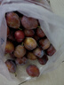 正宗新疆法兰西西梅新鲜当季时令水果礼盒喀什整箱应季孕妇甜李子 西梅5斤 精品特优果 实拍图