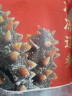 辽参 大连冷冻海参1斤10-12只 有机辽参 固形物85% 非即食 送礼滋补 实拍图