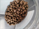 麦富迪狗粮 藻趣儿2.5kg 幼犬中大型小型犬通用（牛肉螺旋藻）金毛泰迪 实拍图