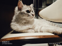 麦富迪猫粮 超肉粒冻干双拼粮2kg 成猫（冻干三文鱼） 实拍图