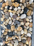 大海边【12仓速发】5斤鹅卵石铺路铺地庭院园林造景天然大小石头雨花石 精抛五彩2.0-3.0cm【5斤装】 实拍图