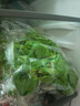  大芹菜约400g 实拍图