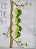 春天十字绣新款客厅卧室餐厅棉线 花鸟三联画线绣简约卡通动物花卉挂件 生态棉3股【1169 单件】【尺寸29*37cm】 实拍图
