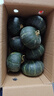 京鲜生 贝贝南瓜净重4.5斤单果300g+(品种:惠和一号)新鲜蔬菜 源头直发 实拍图