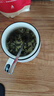 乐品乐茶茉莉花茶特级绿茶茶叶川派浓香型2025新茶春茶250g横县飘雪冷泡茶 实拍图