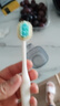 狮王细齿洁70孔奢密极净宽薄牙刷1支软毛全新上市高效洁净成年人护龈 实拍图
