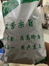 甜菊叶 甜叶菊代糖低糖甜味散装苷干叶另售花茶花草茶叶 甜叶菊500g 实拍图