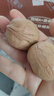 楼兰蜜语高品质阿克苏薄皮核桃5斤/箱原味核桃纸皮节日送礼盒每日坚果零食 实拍图