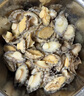 江船长 冷冻鲍鱼 净重160g(18-22粒)袋装 火锅烧烤食材 海鲜生鲜 实拍图
