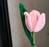 母亲节礼物郁金香花束扭扭棒diy材料包手工花束情侣情人节女神节礼物手工扭编织毛根郁金香花朵 【郁金香花10朵】材料包 实拍图