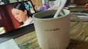 富得莱养生壶 热牛奶杯 迷你小型全自动恒温一人用 办公室炖煮烧水煮茶一体机 加热暖暖杯神器 黄色0.5L 实拍图