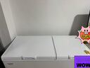 澳柯玛（AUCMA）302升家用冰柜 双温双箱大容量冷柜 卧式冰柜雪糕柜双温冷柜 冷藏全铜管 BCD-302CNE 国家补贴 实拍图