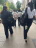 哈鲁迪高绅风度长袖衬衫女士衬衣正装商务修身职业工装免烫秋衬衣女白色 白色【短袖款】 M （80-100斤） 实拍图