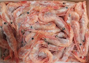 鲜京采 原装进口格陵兰北极甜虾刺身2斤装 90-150只/kg 即食 MSC认证 实拍图