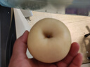 甜醉了 奶油富士脆甜烟台苹果黄金富士山东水果栖霞红富士应季丑苹果 净重5斤 85mm 实拍图