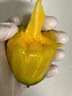 海南辣椒芒果5斤整箱新鲜水果当季树上熟金玉贵妃青煌台牙签芒果 【3斤】约12~25个，超甜 实拍图