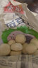 安井 红豆包 1kg 2斤装约33个 豆沙包 广式早茶糕点点心 家庭装面点 实拍图