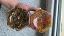田野故事白辣椒炒腊肉210g 下饭菜瓶装开胃湖南特产腊肉咸菜微辣拌面 晒单实拍图