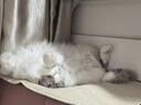 卫仕猫用化毛膏120g*2宠物猫维生素鱼油化毛球营养膏微量元素化毛球 实拍图