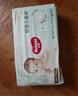 好奇（Huggies）心钻装小森林纸尿裤NB66片(5kg以下)新生儿小号尿不湿夏季超薄 实拍图