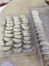 特百惠（Tupperware） 饺子盒1.3升冷冻保鲜盒汤圆盒 冰箱冷冻冷藏储藏收纳盒 1.3升蓝色单个 实拍图