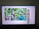 飞利浦Type-C转DP1.4线雷电3/4转接头USB-C转换器扩拓展高清8K60/4K240/165Hz适用笔记本电脑iPad手机 实拍图