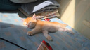 疯狂的主人剑麻垫贴墙猫抓板窝耐磨不掉屑猫爪板防猫抓猫玩具保护沙发磨爪 实拍图