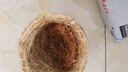 派乐特鸟窝棕椰丝鹦鹉窝繁殖箱垫料巢垫料草窝垫草保暖用品干草丝500g 实拍图