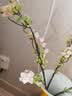 匠心绽放仿真花雪柳假花摆件高档仿真花束桌面客厅家居装饰花粉色3支20111 实拍图