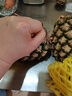 鲜武士金钻凤梨正宗手撕凤梨甜蜜蜜凤梨热带水果无眼树上熟新鲜水果生鲜 大果1个装 甜蜜蜜凤梨(台农16号) 实拍图