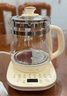 小熊（Bear）养生壶 1.5L煮茶壶煮茶器 玻璃花茶壶 316不锈钢恒温水壶烧水壶电热水壶 YSH-E15M1 实拍图