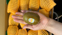 佳沛（zespri）新西兰 阳光金奇异果12粒礼盒特大果单果约122-146g 猕猴桃 水果 实拍图