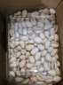 百草味盐焗味开心果500g 每日坚果炒货干果休闲零食量贩无漂白送礼团购 实拍图