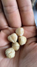 新边界 原味榛子仁400g 孕妇零食 干果炒货休闲食品东北特产大罐装铁岭 实拍图