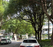 快美特 汽车香水 汽车香膏汽车用固体香水车古龙香五星级酒店香BLANG 【招牌VIP味】黑森林G635C 实拍图