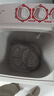 小天鹅（LittleSwan）双桶双缸洗衣机半自动  8公斤家电 喷淋漂洗强力去污 以旧换新 操作简便 租房家用 TP80VDS08 实拍图