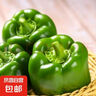 现摘新鲜圆辣椒超市即食太空椒皮厚肉多不辣水果灯笼椒 1斤试吃装 1斤 实拍图